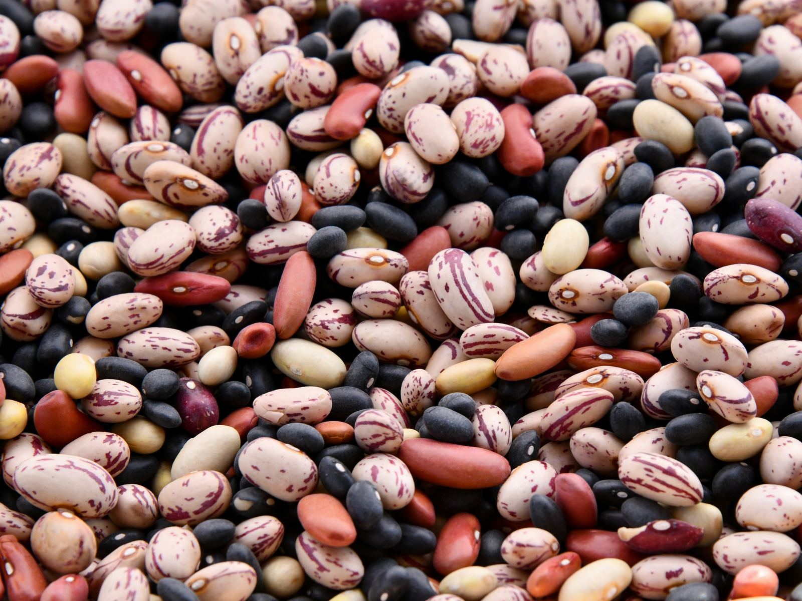 Beans & pulses
